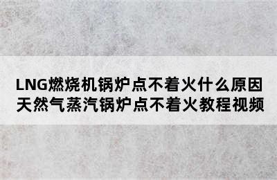 LNG燃烧机锅炉点不着火什么原因 天然气蒸汽锅炉点不着火教程视频